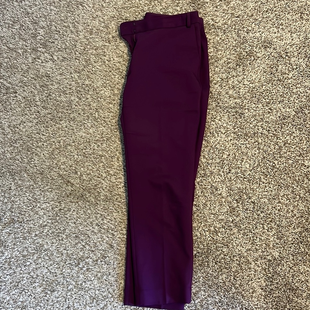 Plum Express Editor Pants